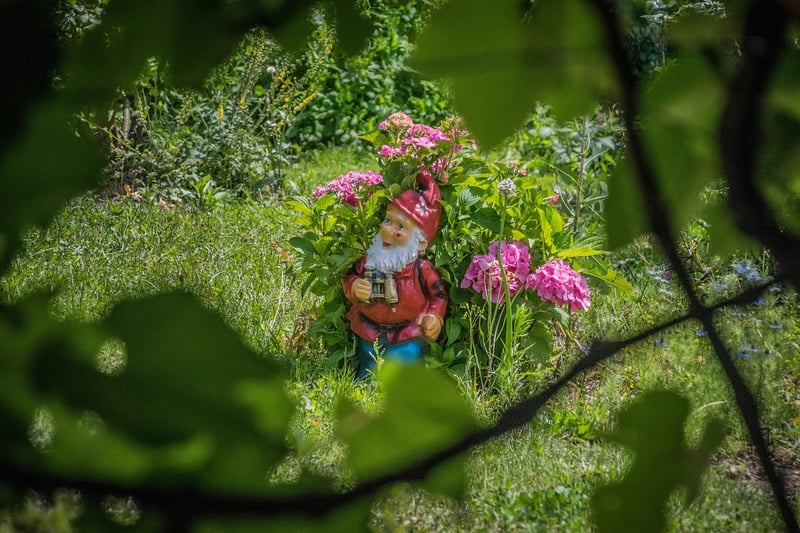 Pixie Gardens